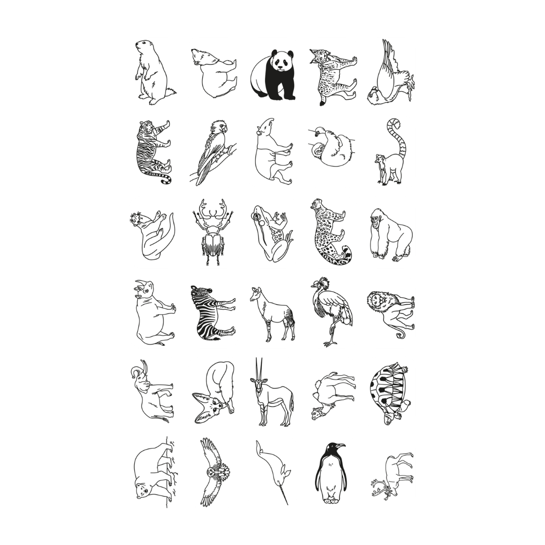 Refill KIDYDRAW-MINI