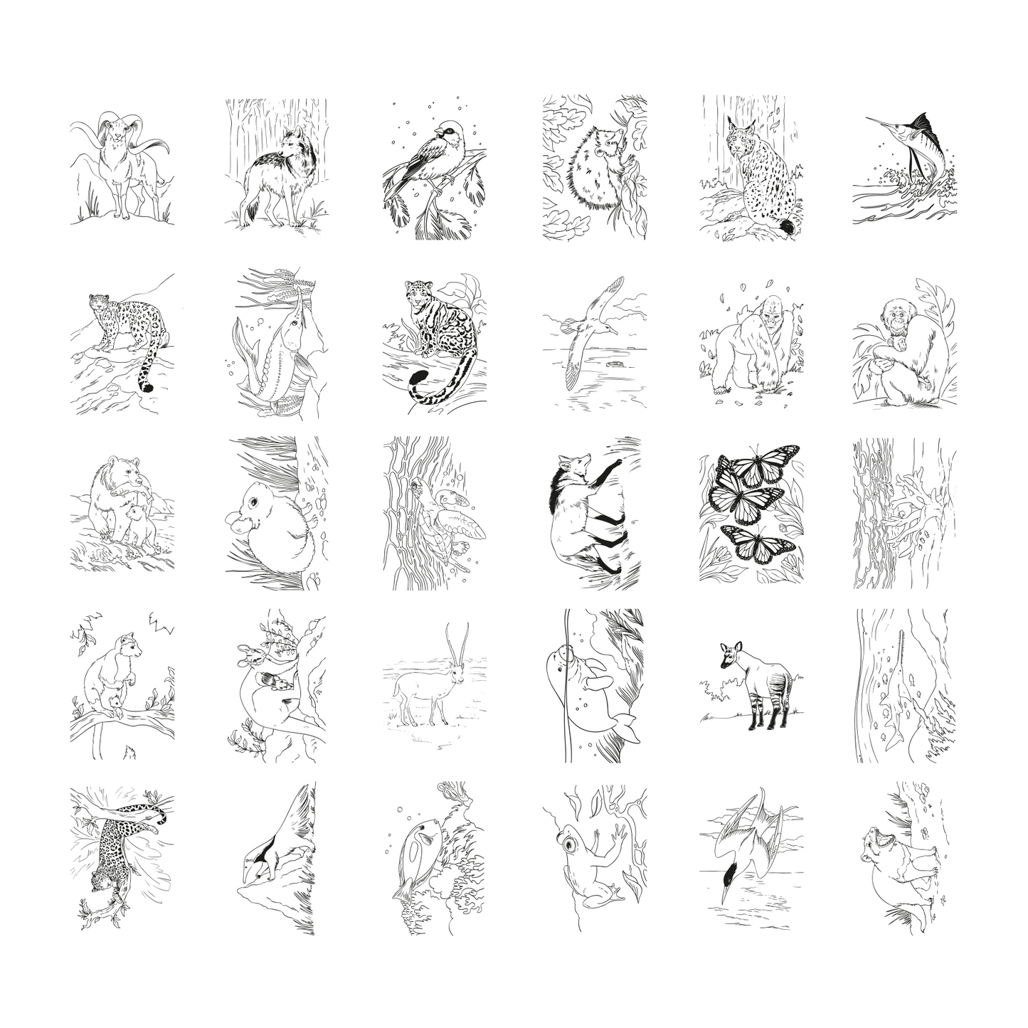 KIDYDRAW PAD