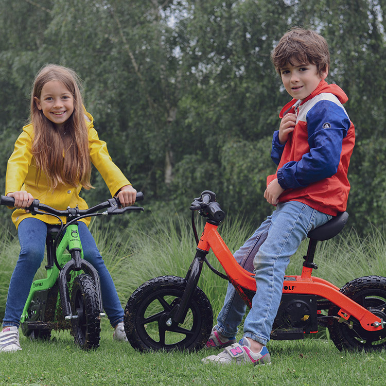 Mio Teck - Electric Balance Bike  Vélo électrique pour Enfant 16 Pouces 5-8  Ans, 2 Vitesses 12-24 Km/h, 24 V 170 W Brush Motor (Vert Fluo) : :  Sports et Loisirs